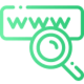 Web Design & Development